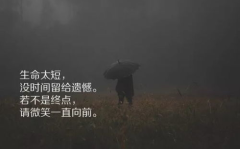 人生哲理经典句子,经典句子的启示与感悟