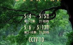 央视网电视剧片库青春逐光大道同行！十集大型电视专题片《大道同行——校史里的中国》即将在总台科教频道播出